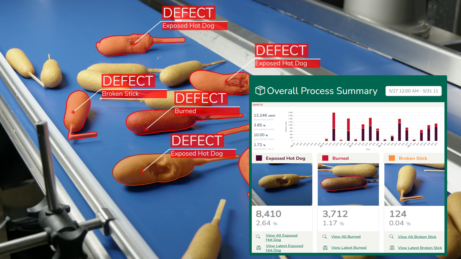 frozen food inspection system