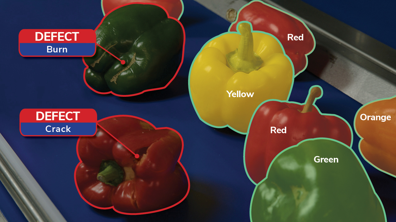 Right Image