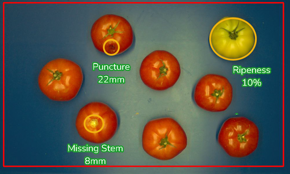 Fruit and Vegetable Inspection AI